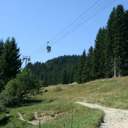Les Jardins Alpins - * Saint-Gervais-les-Bains